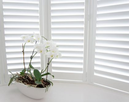 8 Best Window Coverings to Keep Cold Out