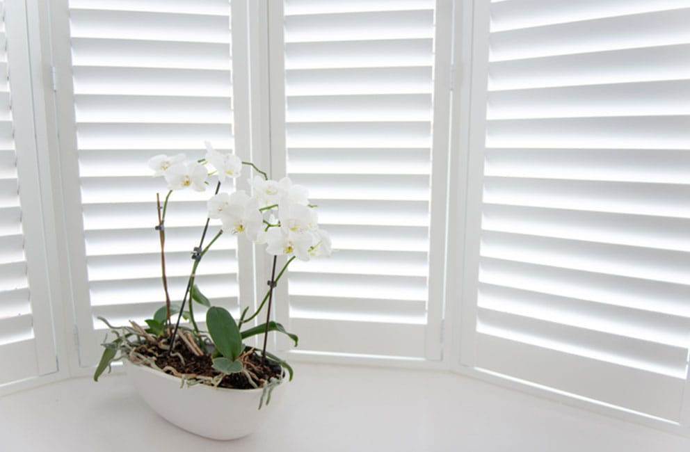 8 Best Window Coverings to Keep Cold Out