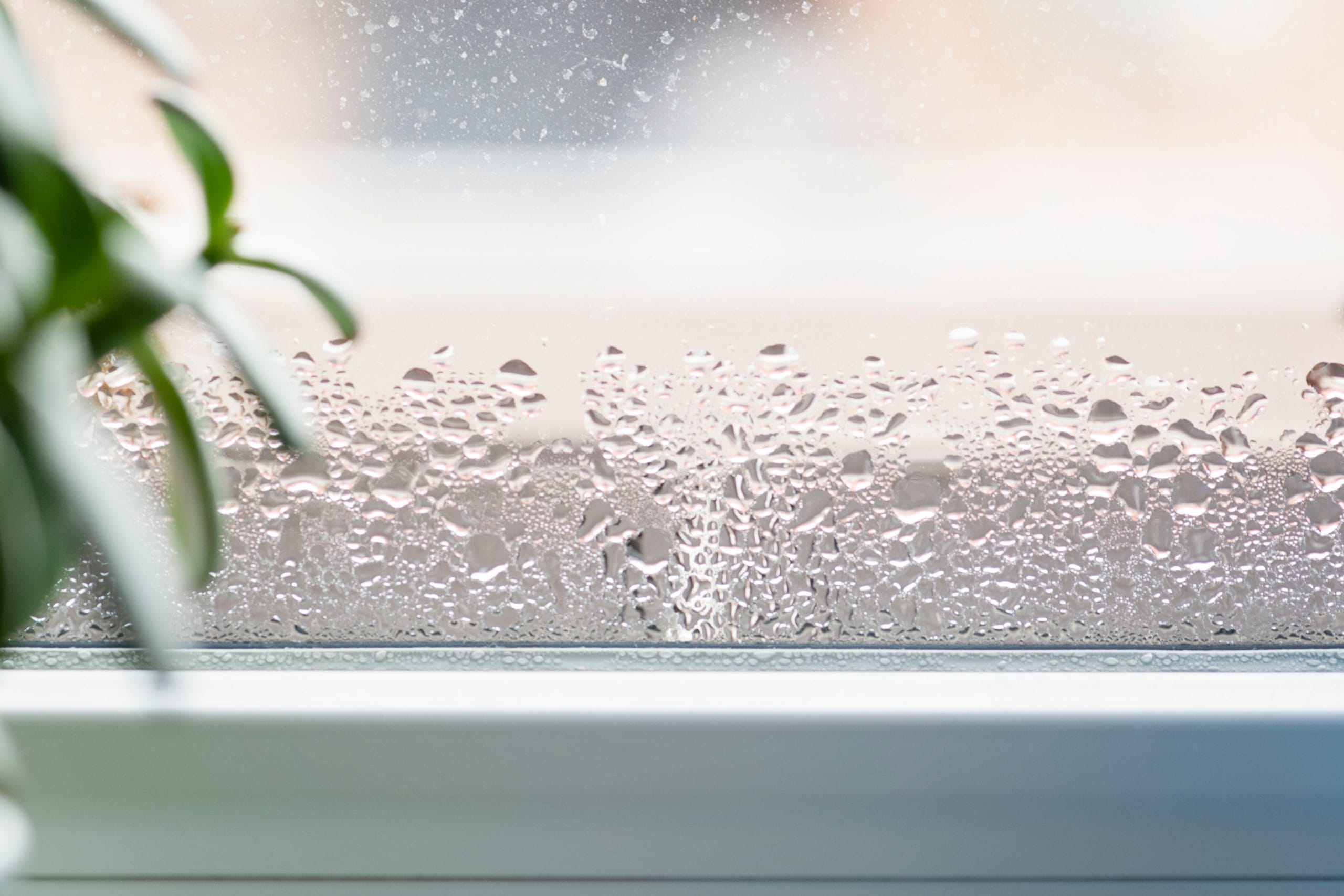 Condensation on the inside of a window